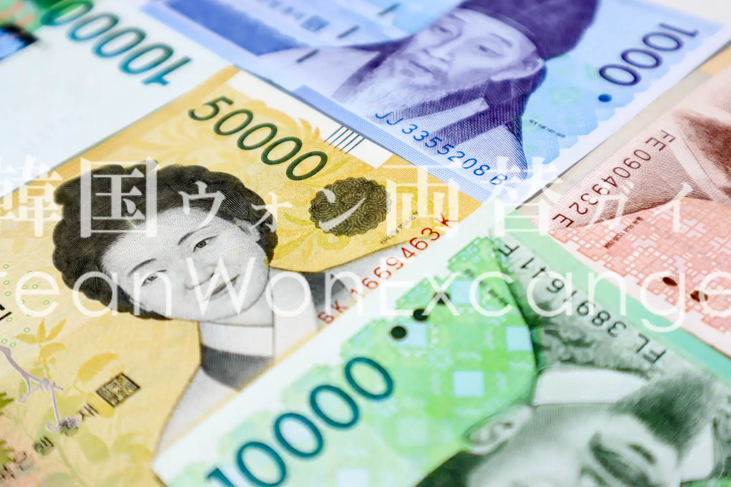 Close-up of Korean won banknotes — 1,000, 5,000, and 50,000 won bills.
