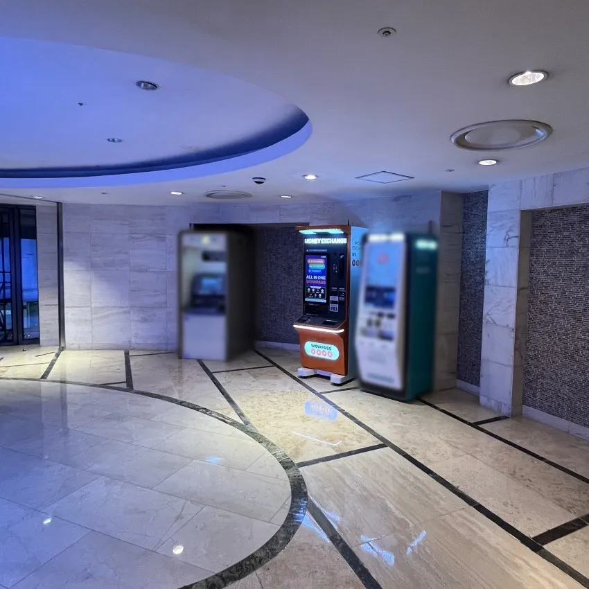 Lotte Department Store Myeongdong Main Avenuel B1 (Near elevator) - photo 2