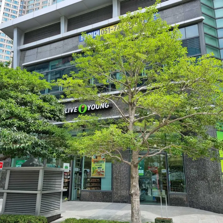 OLIVE YOUNG Busan Centum