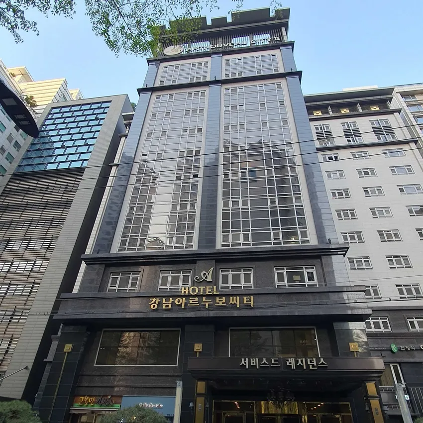 Gangnam Artnouveau City Hotel - photo 1
